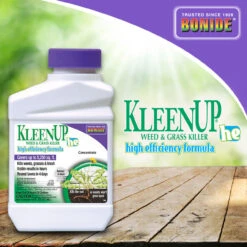 Bonide KleenUp High Efficiency Weed & Grass Killer Concentrate