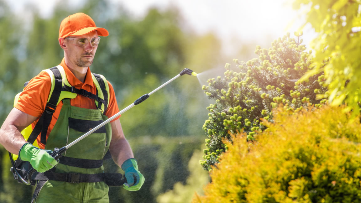 Mowers Store -Mowers Store pestcontrol